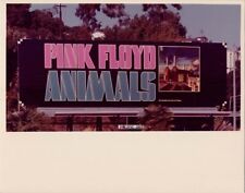 Pink Floyd Animals 1977 album artwork Sunset Boulevard billboard 8x10 photo picture