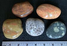 5pc Michigan Gems - Unakite Banded Rhyolite Petoskey Stone Porphyry Quartz 1.9LB picture