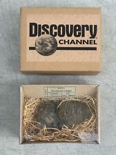 Discovery Channel Geoworld TRILOBITE Diacalymene Ouzregui Fossil Moroco NEW picture