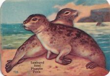 1890's -1900 Embossed Victorian Chromolithograph Card -Seal picture