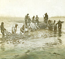 SHAD FISHING IN PHILADELPHIA, PA ANTIQUE PHOTO ON GLASS picture