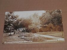CALEDONIA MN - 1908-1910 ERA REAL PHOTO POSTCARD - ST. PETERS CHURCH GROUNDS picture