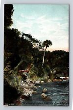 Rockledge FL-Florida, Along the Shore of Indian River, Vintage Postcard picture