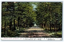 1906 Lover's Lane Dirt Road Trees Bridgeton Maine ME Posted Antique Postcard picture