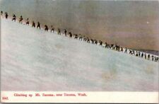c1910s MOUNT RAINIER, Washington Postcard 