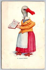 Fantasy~Anthropomorphic Dressed Goose~Human Hands Holds Book~A Young Goose~c1905 picture