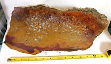 FANTASTIC RARE HUGE BLOODY BASIN PLUME AGATE  COLLECTOR SLAB MUST SEE picture