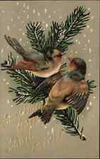 South Fairlee Vermont VT Song Birds on Branch Embossed c1910 Vintage Postcard picture