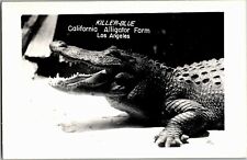 RPPC Killer-Blue California Alligator Farm Los Angeles Vintage Postcard X04 picture