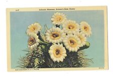 Postcards Vin(1)Arizona's State Flower/Sahuaro Blossoms L-17/3B-H178 UP (509) picture