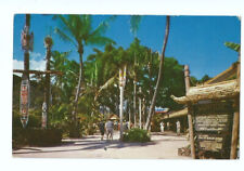 Waikiki Hawaii HI Postcard International Market picture