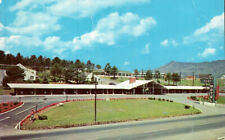 Roanoke, VA, Hitching Post Motel, Vintage Postcard A4 picture