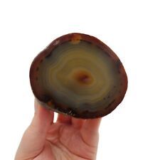 VTG Polished Agate Geode Rock Paperweight Nature Natural Geology picture