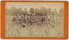 SOUTH CAROLINA SV - Aiken - Cotton Field - JA Palmer 1880s picture