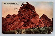 Bear and Seal Rock Garden of the Gods Colorado Springs Colorado Postcard c1917 picture