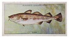 1935 JOHN PLAYER & SONS SEA FISHES CIGARETTE CARD #17 COD-FREE USA SHIPPING picture