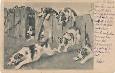 Dogs Over and Under Fence Postcard - udb - 1903 picture