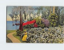 Postcard Gardenias Line the Paths Cypress Gardens Florida USA picture
