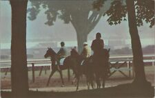 Saratoga New York horse thoroughbreds in mist workout c1960s postcard B331 picture