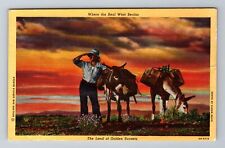 NV-Nevada, Land Of Golden Sunsets, Antique, Vintage Souvenir Postcard picture
