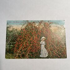 The Modern Garden Of Eden Girl Spokane Washington Apple Orchard Postcard picture