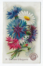Arm & Hammer Beautiful Flowers Card Cornflower & Marguerite Church & Co #38 picture