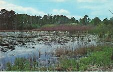 Jacksonville FL Florida, Fort Caroline Memorial Lily Pond, Vintage Postcard picture