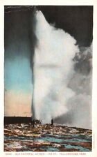 Vtg Postcard (Haynes) Old Faithful Geyser 150' Yellowstone Natl Park WY Unposted picture