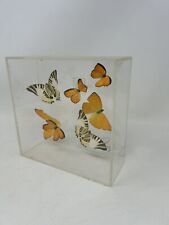 Vintage Iridescent Purington ‘79 Butterflies Mounted Diorama Signed 72/100 picture