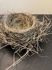 Real Abandoned Bird's Nest Fell From Tree in Pittsburgh Pennsylvania Craft Decor picture
