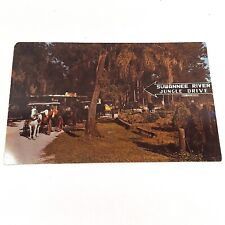 Suwannee River Jungle Drive -Horse Drawn Carriage Tour- Florida Postcard c1951 picture