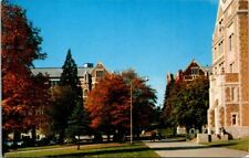 Seattle University Washington Halls Smith Thompson Denny Autumn 1950's Postcard picture