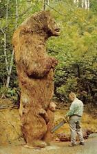 CA, California REDWOOD BEAR CARVING~Kenyon Kaiser TREES OF MYSTERY 1971 Postcard picture