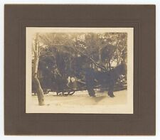 Antique Circa 1900s ID'd Cabinet Card Two Men Hauling Logs Horse & Sleigh picture
