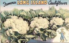 FAMOUS LONG ISLAND CALIFORNIA Cauliflower Unused Linen CA Postcard 827 picture