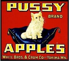 Pussy Brand Apple Yakima Washington Fruit Crate White Persian Cat Label Print picture