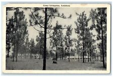 c1940's Camp Livingston Tall Trees Scene Alexandria Louisiana Unposted Postcard picture