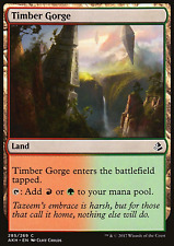 MTG: Timber Gorge - Amonkhet - Magic Card picture