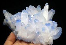 1.9lb Rare Beatiful Blue Tibetan Ghost phantom Quartz Crystal Cluster Specimen picture