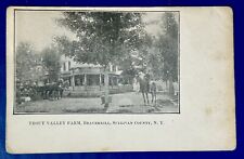 TROUT VALLEY FARM, BEAVERKILL, SULLIVAN COUNTY New York Postcard picture