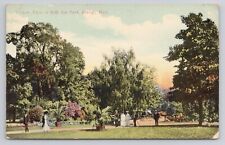 View In Belle Isle Park Detroit Michigan c1910 Antique Postcard picture