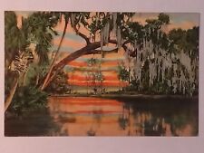 Florida Art Series St Augustine Postcard picture