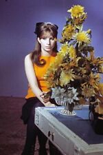 Barbra Streisand sits next to flowers on table circa 1960's 12x18 poster picture