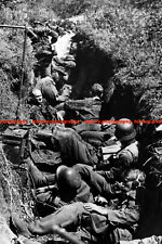 F018310 Wehrmacht and Waffen SS soldiers in a trench Kursk salient During WW2 picture