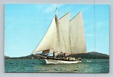 Maine Blue Hill Stephen Taber Passenger Schooner Sail Boat Postcard picture
