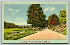 Postcard KS Greetings from Olathe Kansas City R12 picture