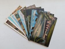 Lot of 10 Vintage Linen Florida Postcards - Unposted - Ephemera - Postcrossing picture