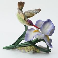 Maruri Violet-crowned Hummingbird with Iris Porcelain Bird Figurine picture