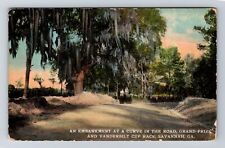 Savannah GA-Georgia, Embankment At Curve In Road, Cup Race Vintage Postcard picture