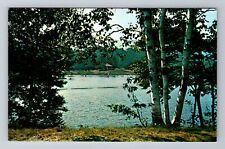 Peru VT-Vermont, Hapgood Pond Recreational Area, Antique, Vintage Postcard picture